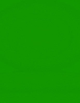 paleta de cores verde