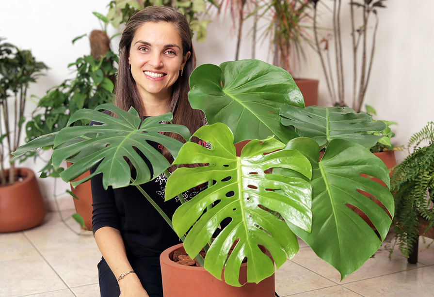 rega da costela de adão