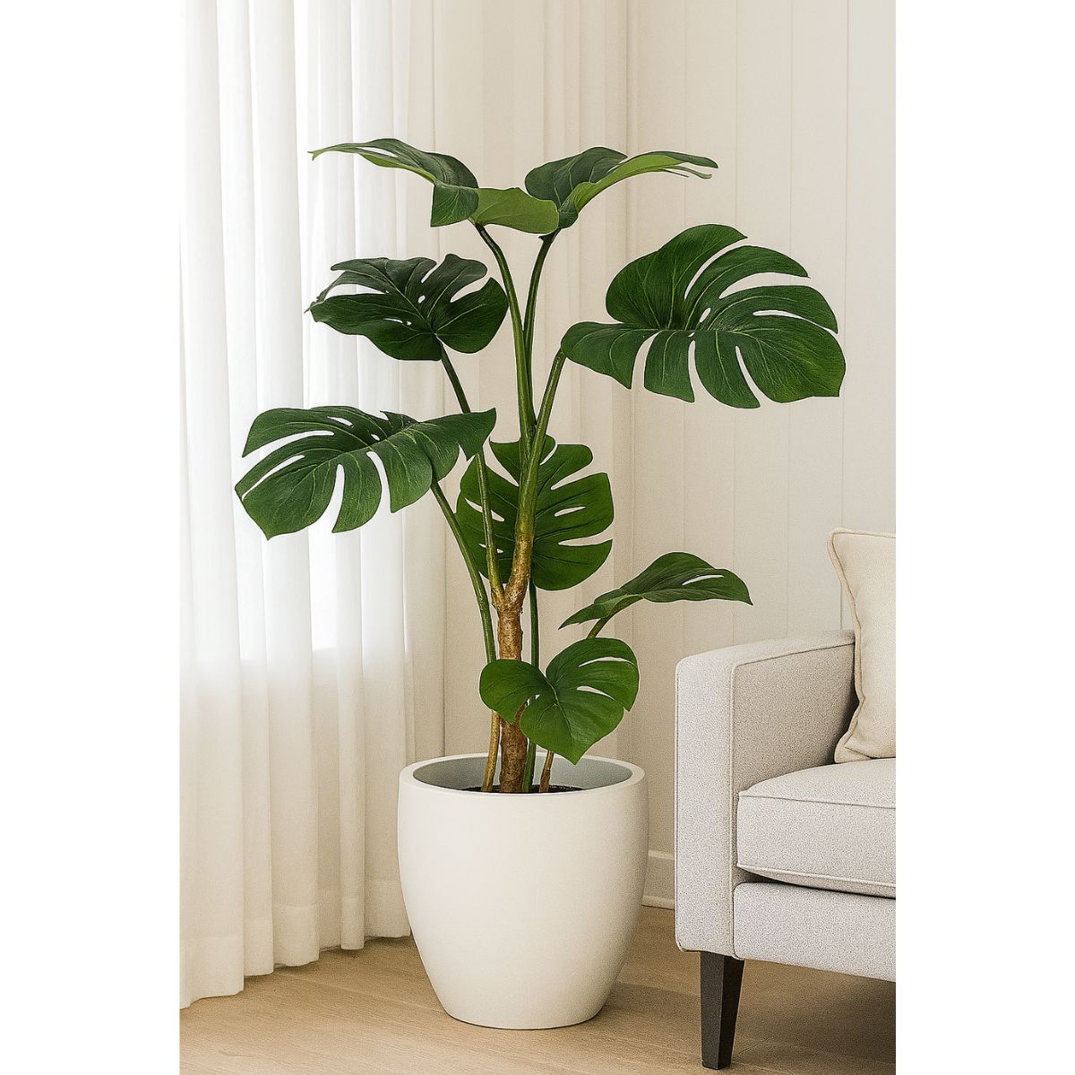 como cuidar de monstera deliciosa em casa