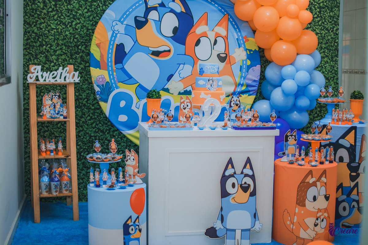 decoração aniversário bluey menina