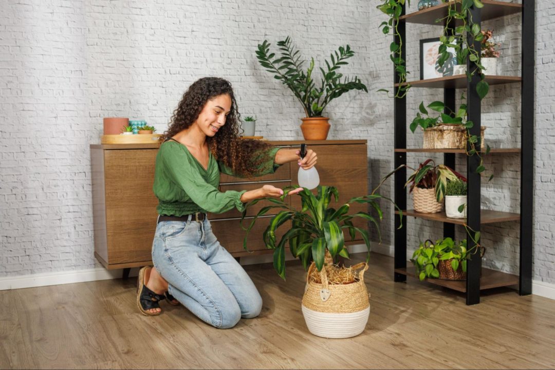 decoração aparador