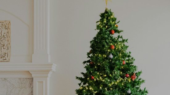 5 ideias de títulos:
1. Árvore de Natal 2025: As Cores que Vão Dominar a Decoração
2. Minimalismo e Nórdico: Os Estilos de Árvore de Natal que Você Precisa Conhecer em 2025
3. Guia Completo: Como Montar a Árvore de Natal Perfeita em 2025
4. Fuja do Clássico: Tendências Inovadoras para a Sua Árvore de Natal em 2025
5. O Significado das Cores na Decoração da Árvore de Natal 2025