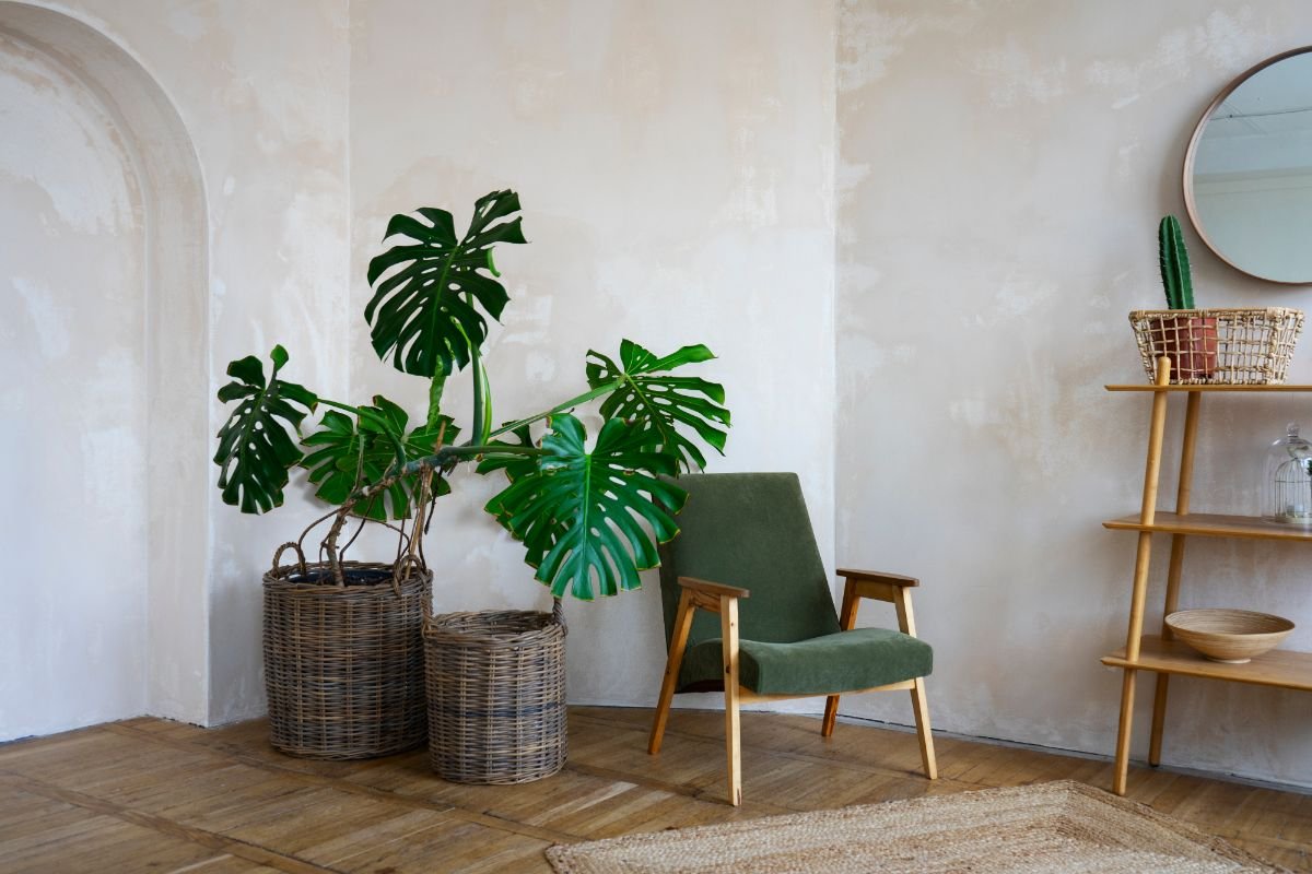 As Melhores Plantas para um Toque Boho na Sua Decoração