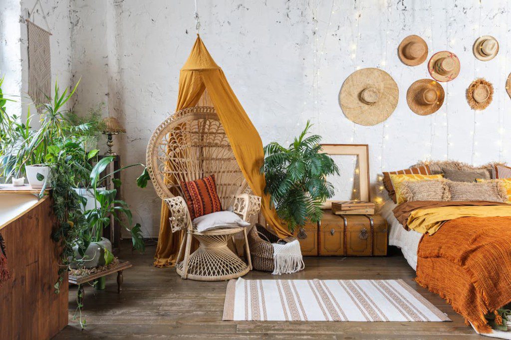 As Melhores Plantas para um Toque Boho na Sua Decoração