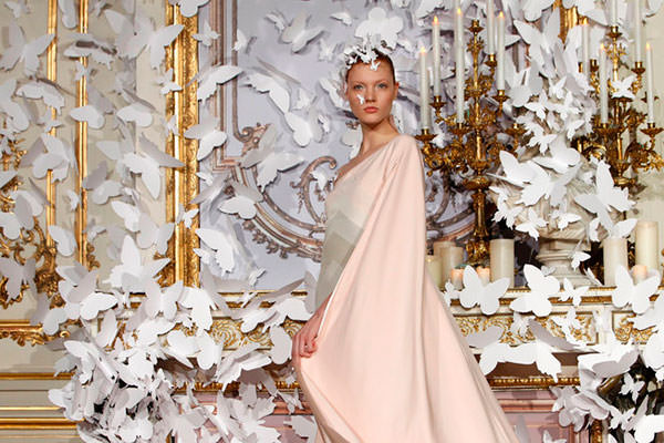 O Significado da Borboleta na Decoração e no Feng Shui