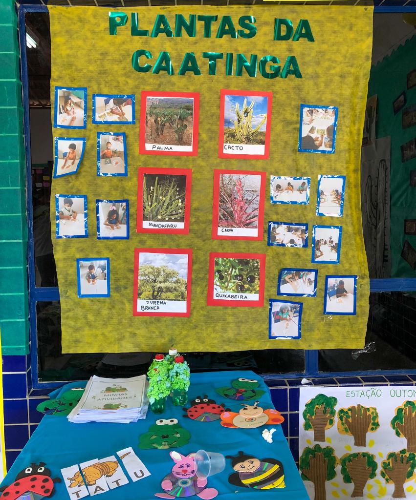 ideias decoração caatinga para sala