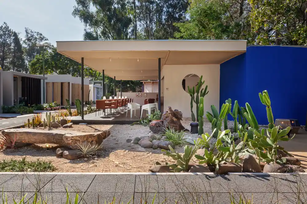 decoração caatinga