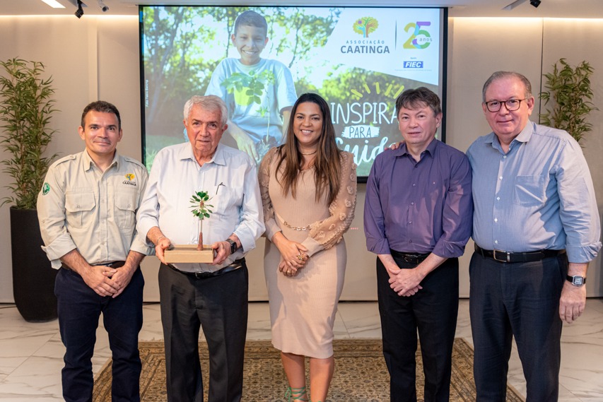 ideias decoração caatinga para sala