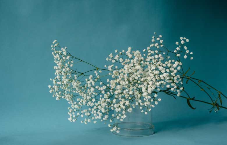 ideias de decoração de casamento com mosquitinho simples