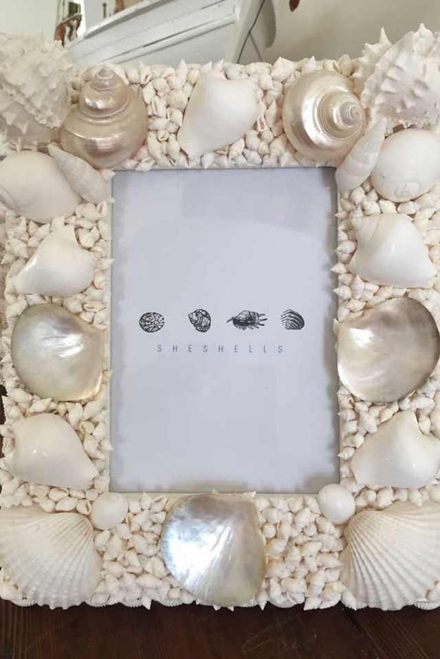 Guia Completo: Como Limpar e Preparar Conchas para Artesanato