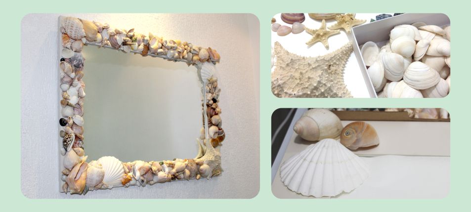 Sustentabilidade na Decoração: Alternativas para Coletar Conchas