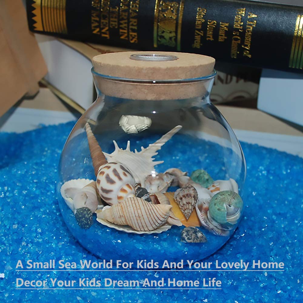 decoração com conchas do mar