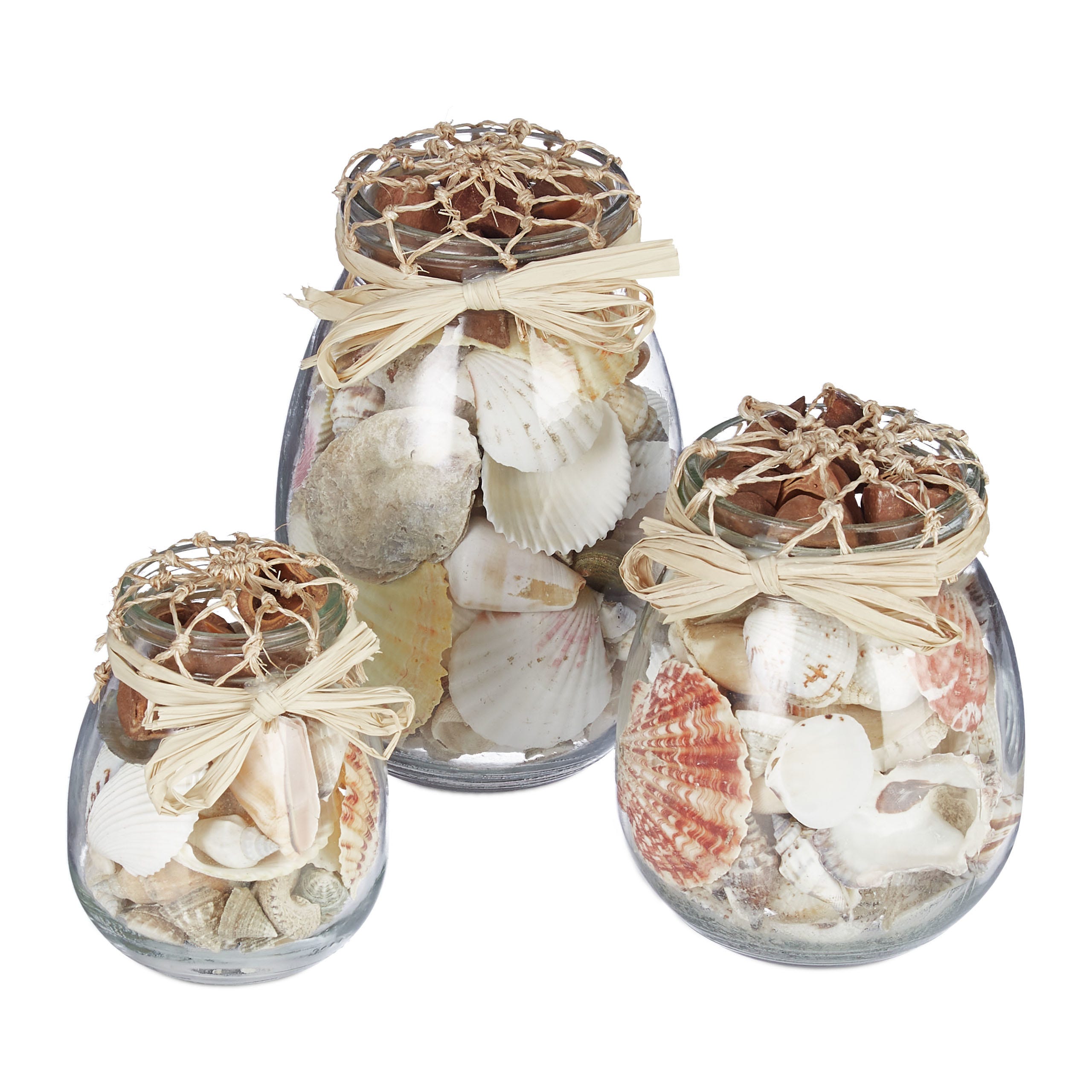 5 Maneiras Criativas de Usar Conchas do Mar na Decoração da Sala