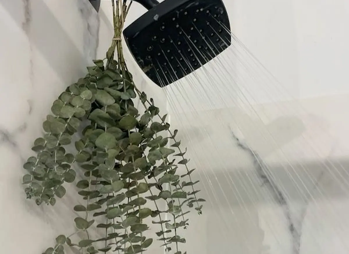 quanto custa decorar com eucalipto