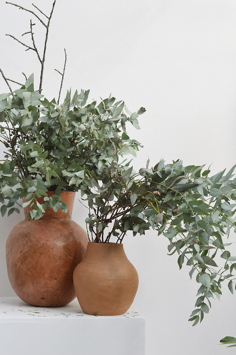 quanto custa decorar com eucalipto