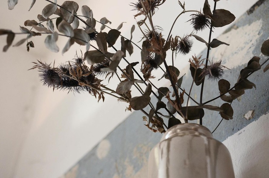 como secar eucalipto para decoração