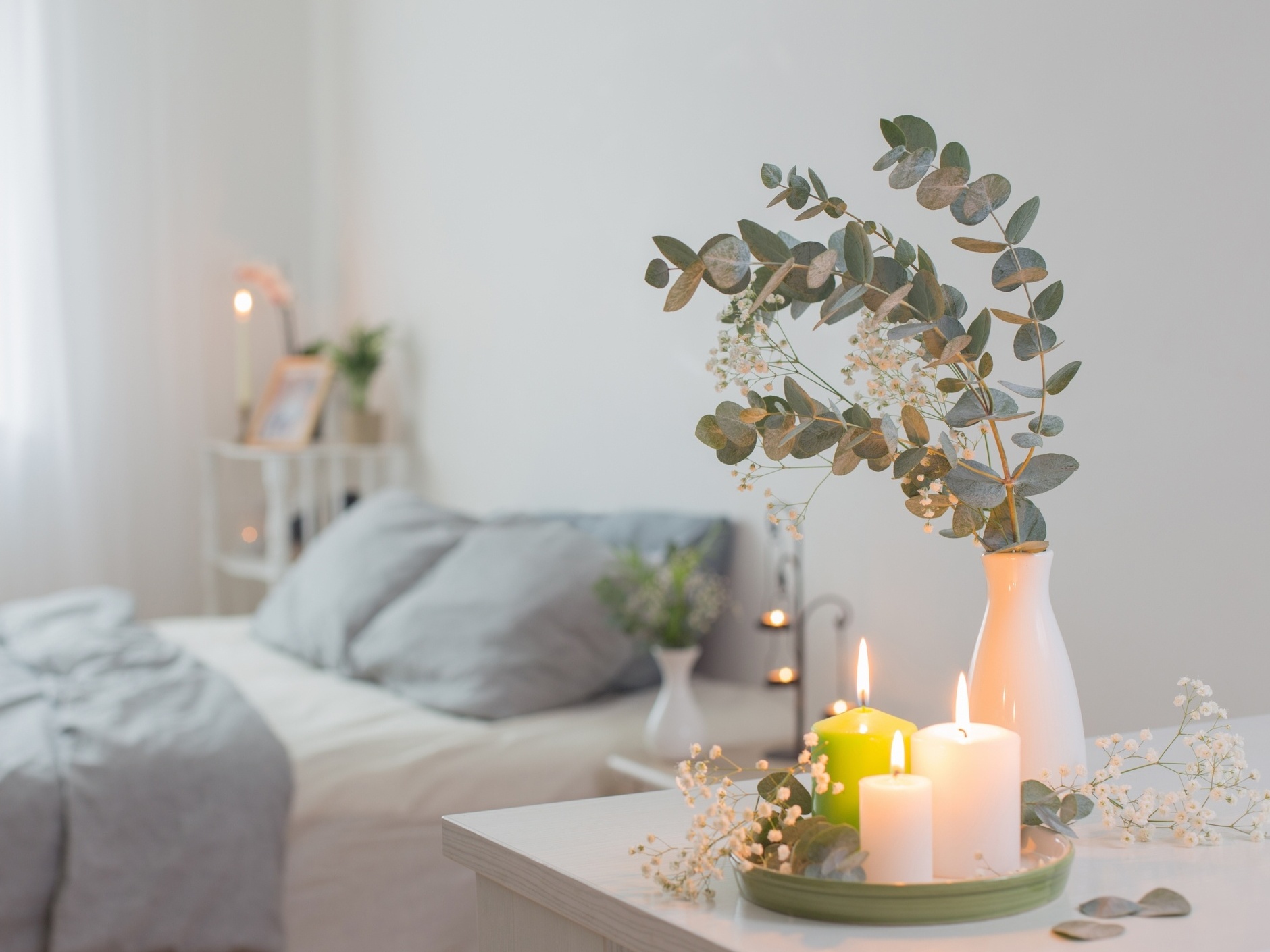 eucalipto fresco vs desidratado para decoração