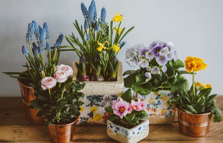 5 ideias de títulos:
1. Decoração com Flores: Guia Completo para Transformar seu Espaço
2. Flores Artificiais vs. Naturais: Qual a Melhor Escolha para sua Casa?
3. Estilos de Decoração com Flores: Do Rústico ao Moderno
4. Dicas Essenciais para Cuidar e Posicionar suas Flores
5. Onde Comprar Flores Online: As Melhores Lojas e Arranjos