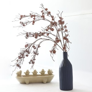 10 ideias criativas para decorar com galhos secos e transformar seu lar