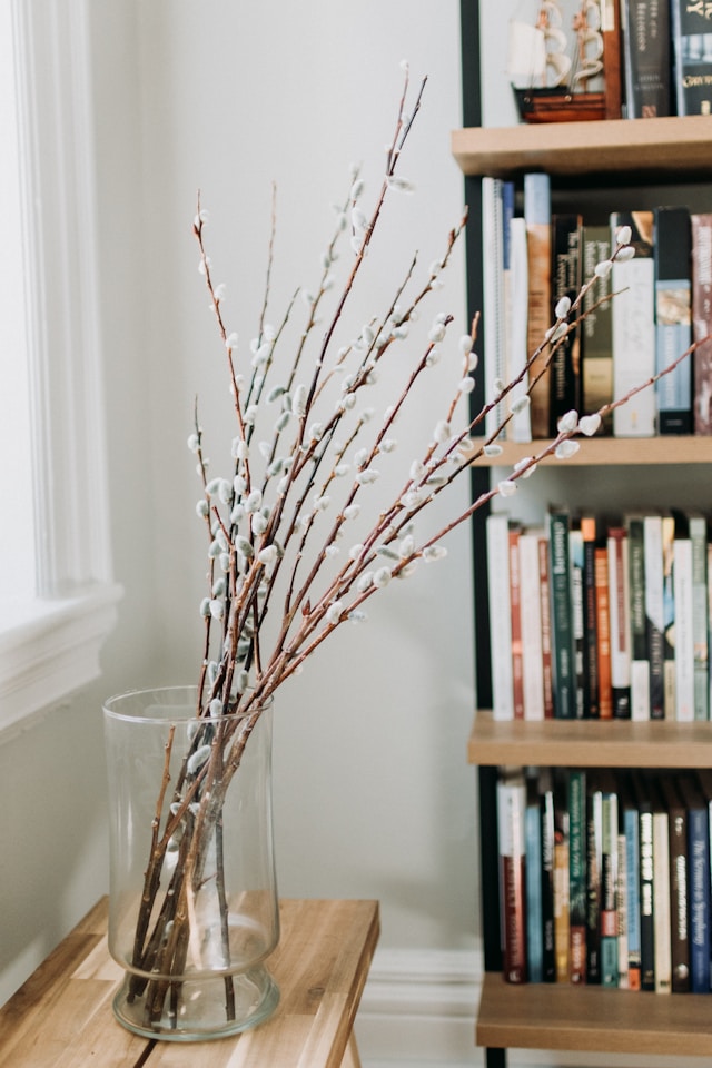 evite estes 5 erros comuns ao usar galhos secos na decoração da sua casa