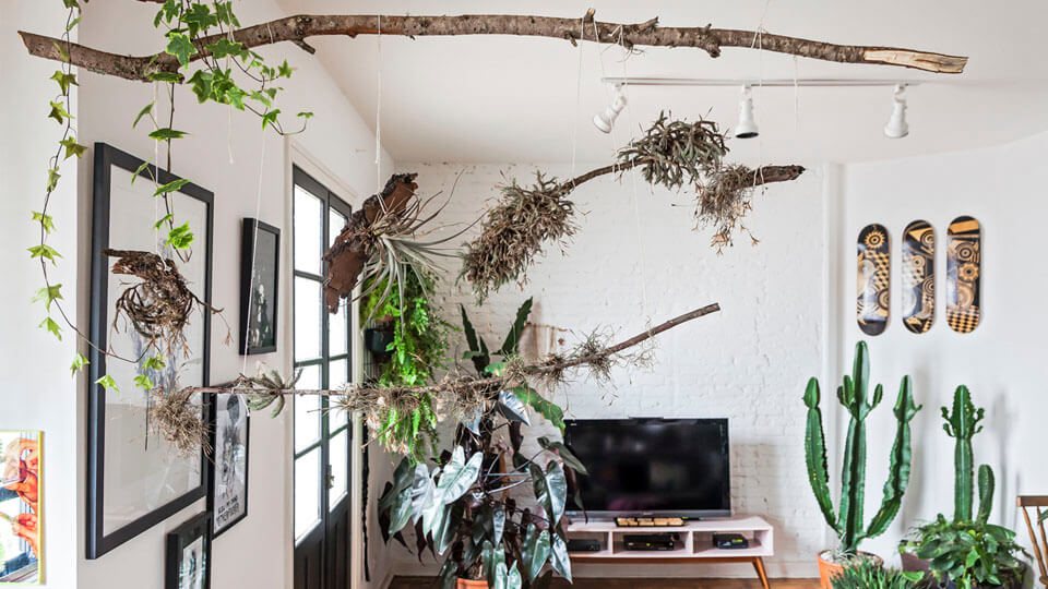 decoração com galhos secos na parede