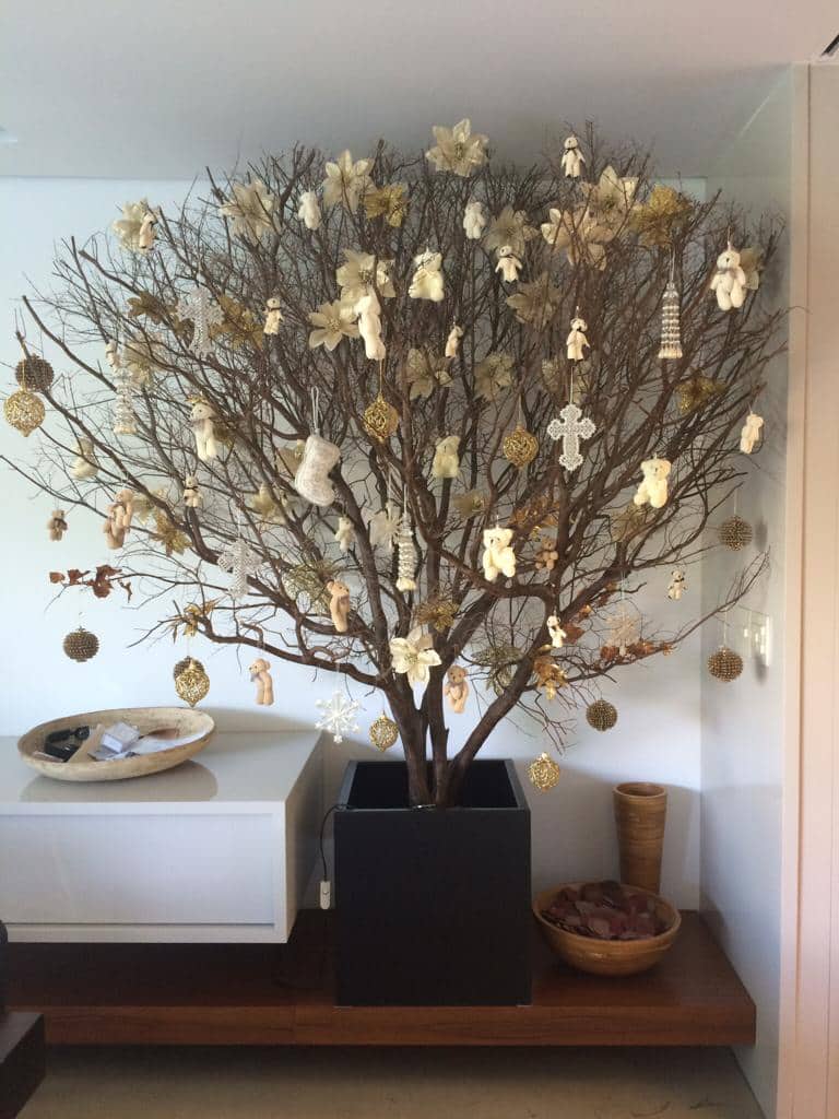 como evitar galhos secos na parede cairem