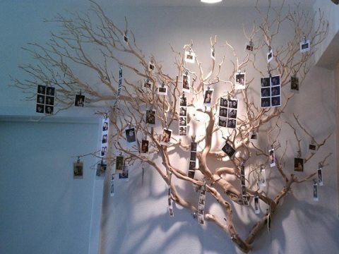 decoração com galhos secos na parede