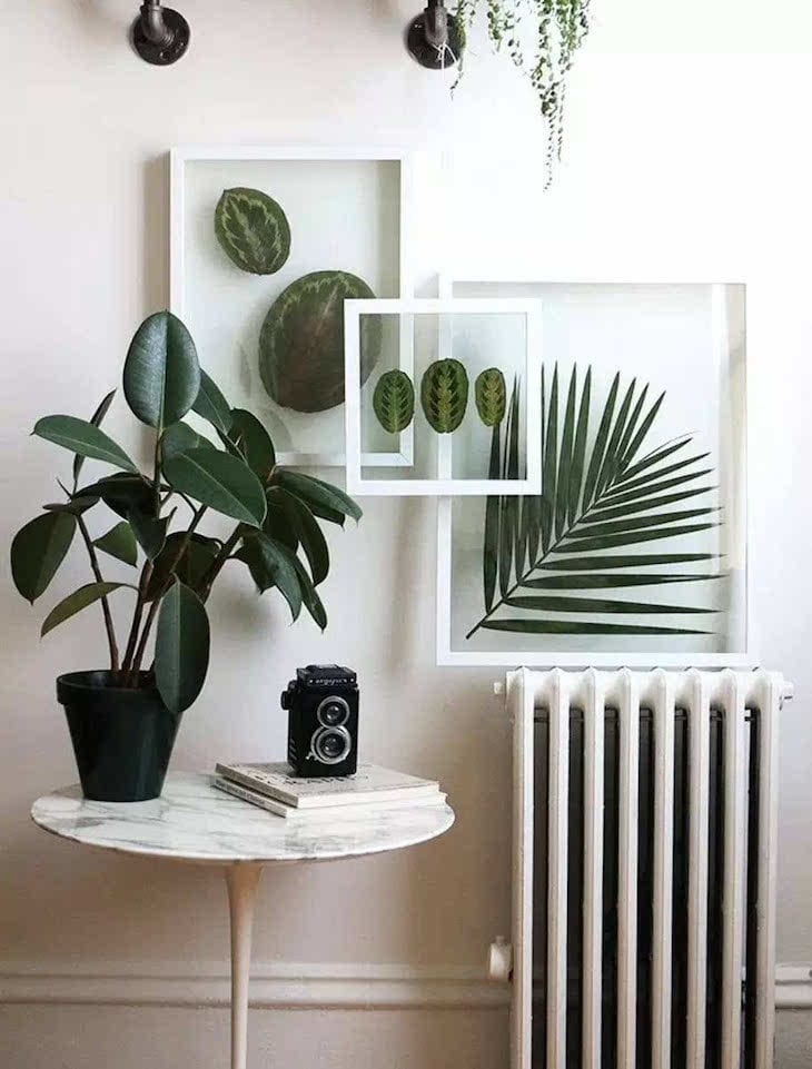 decoração com plantas