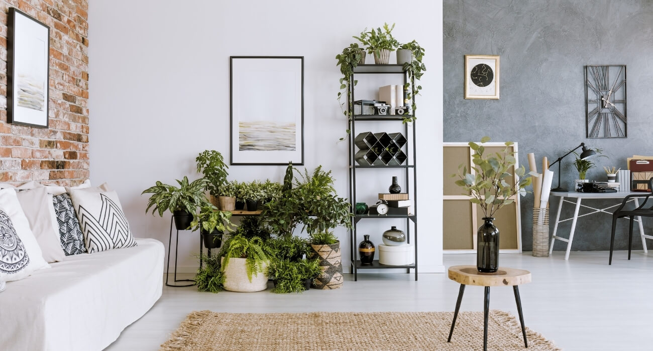 decoração com plantas