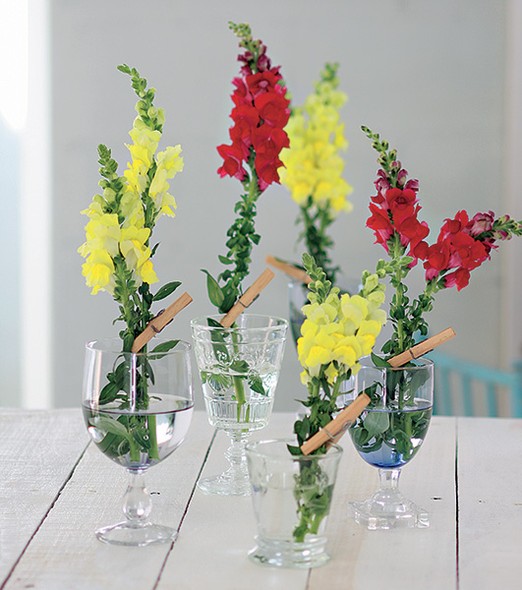 decoração com taças