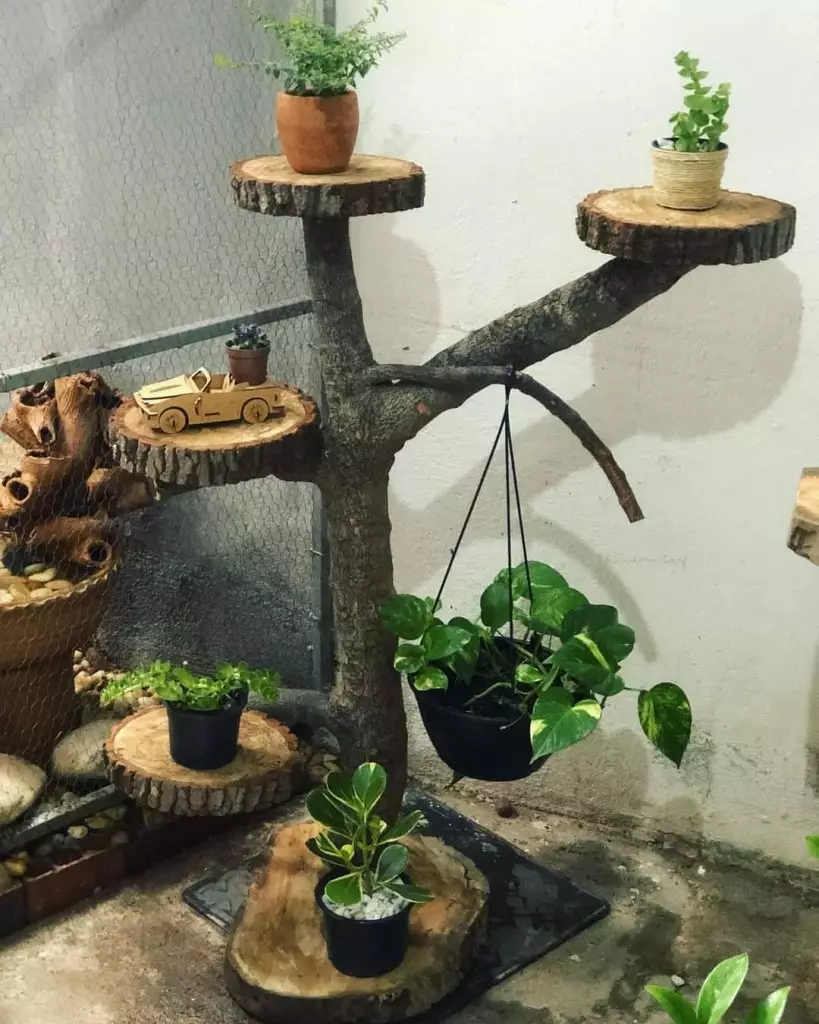 ideias de decoração com tronco de árvore na parede para sala