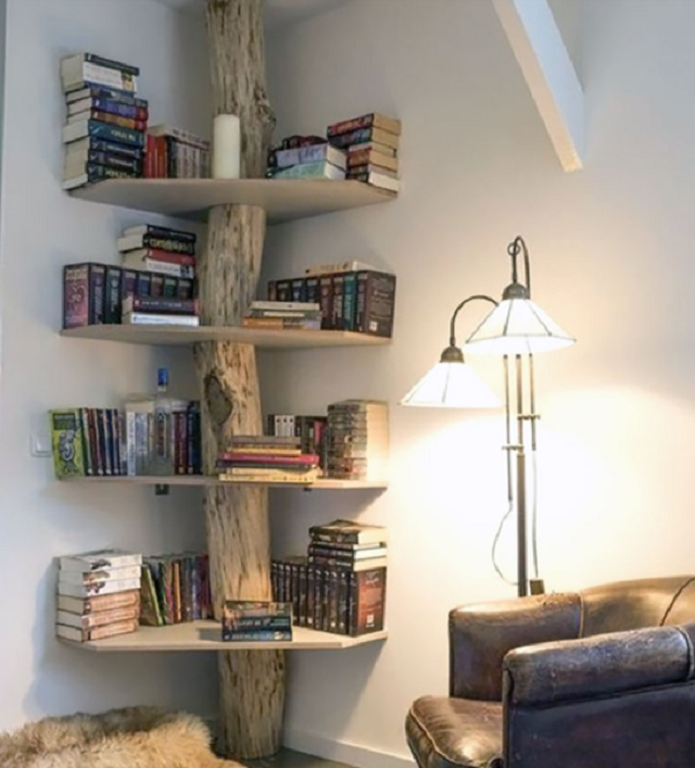 erros comuns ao decorar com tronco de árvore na parede