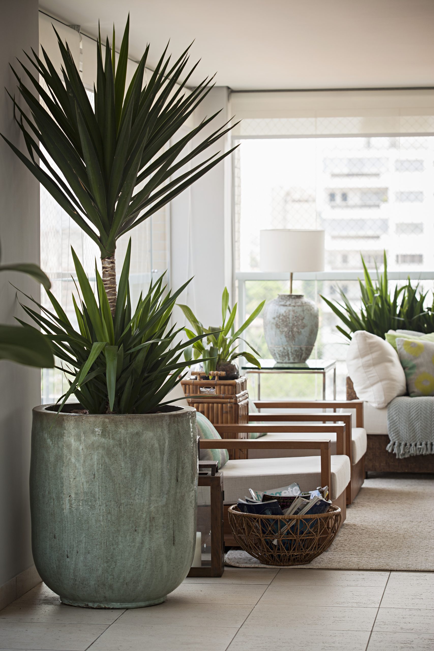 Guia Completo: Como Escolher o Vaso de Vidro Ideal para Cada Ambiente