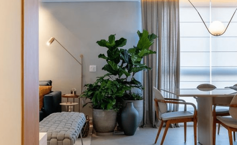 decoração com vaso de vidro grande