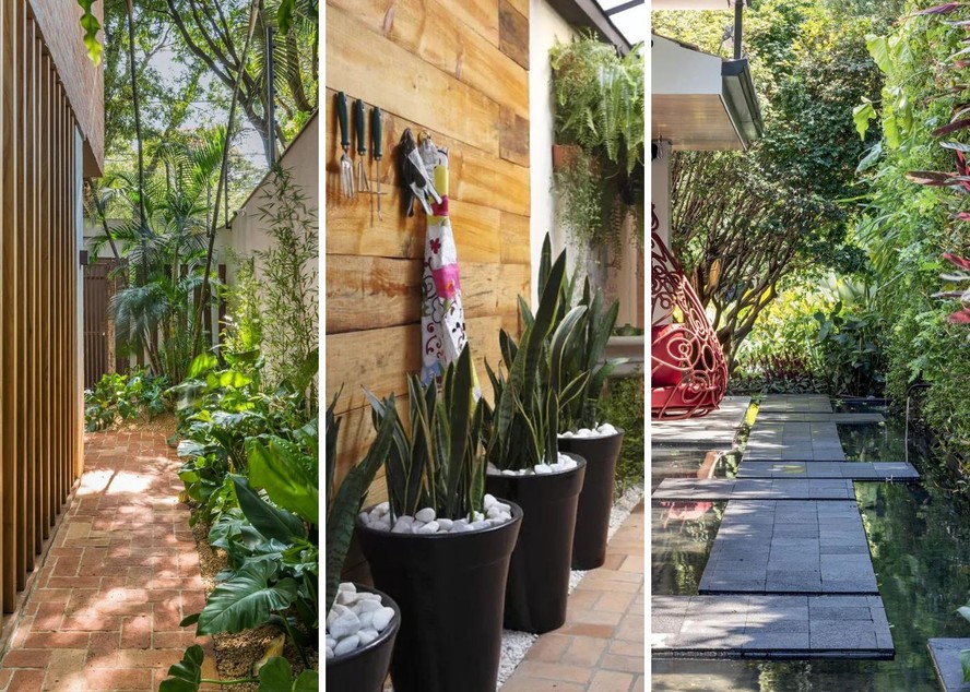 5 ideias para transformar seu corredor em um espaço de destaque
Como usar espelhos para ampliar corredores estreitos
Iluminação inteligente: o segredo para corredores modernos
Plantas que vivem bem em corredores: traga vida para a passagem
Tapetes e aparadores: complementos essenciais para a decoração do corredor