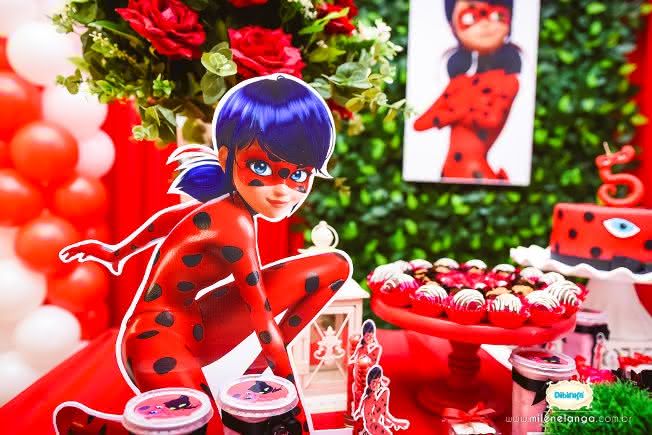 decoração ladybug vs cat noir qual escolher
