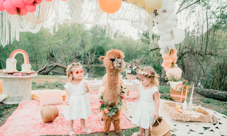 como economizar na decoração de aniversário de gêmeas sem perder o encanto