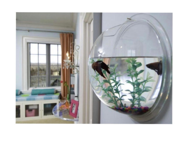 Como Escolher o Substrato Ideal para o Seu Aquário: Guia Definitivo