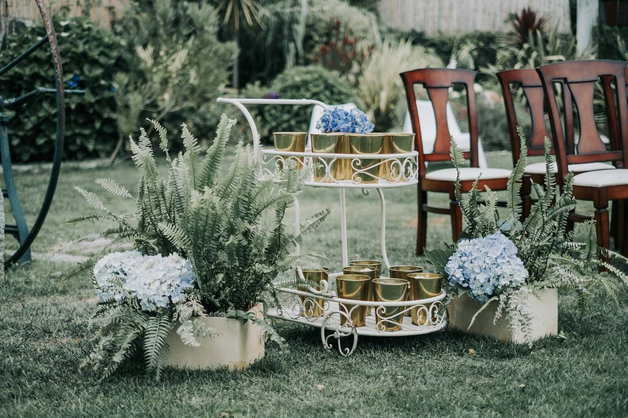 5 ideias de títulos