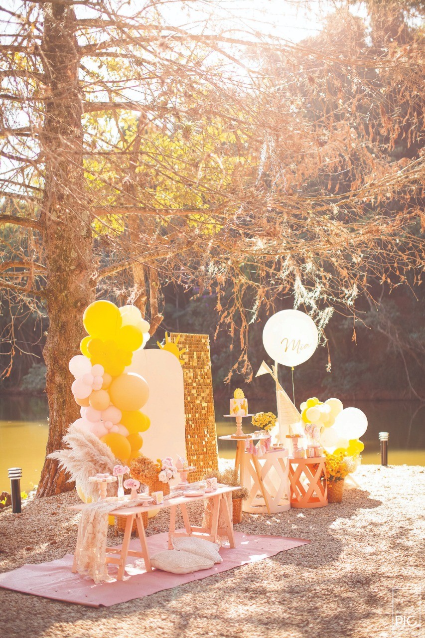 Onde Comprar Kits de Decoração para Chá de Bebê em 2026