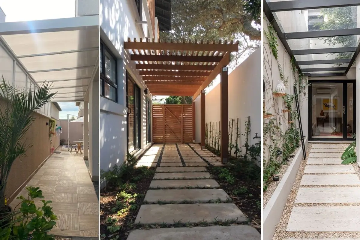 plantas resistentes para corredor externo com pouca luz