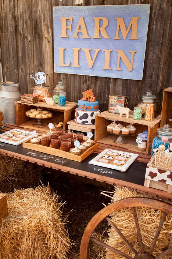 erros comuns ao decorar festa fazendinha