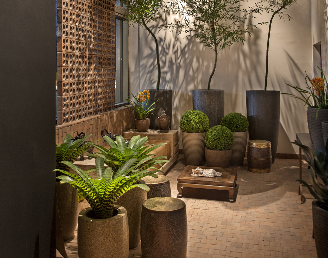 decoração de jardins com vasos