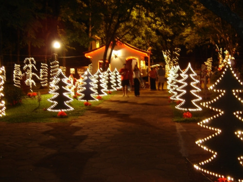 decoração de natal para jardim