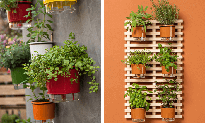 decoração de planta na parede