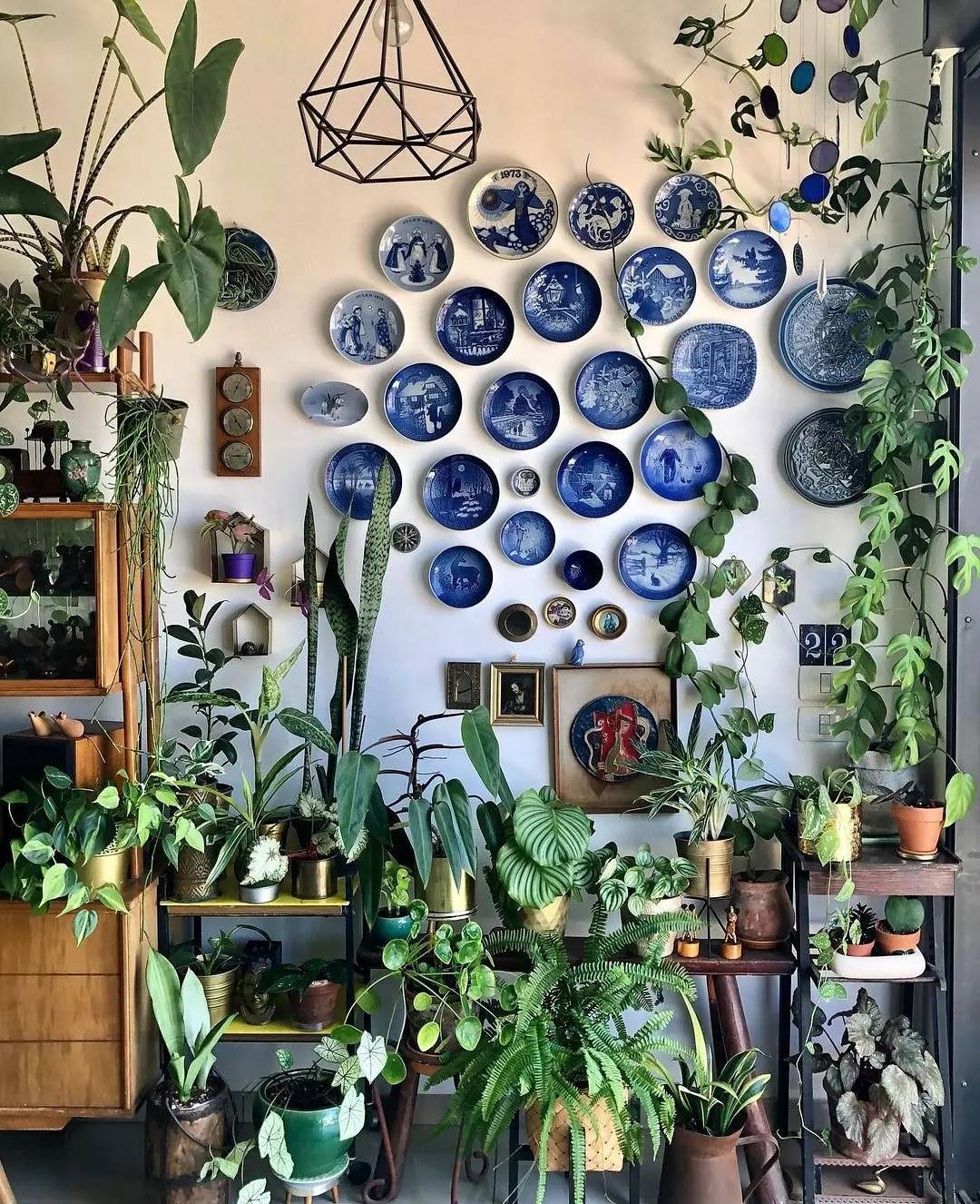 ideias criativas plantas parede