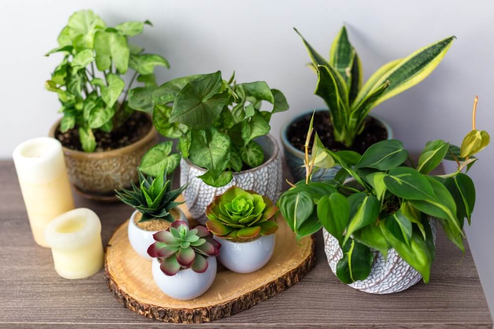 ideias de decoração com plantas artificiais para sala pequena