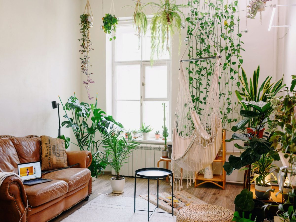 decoração de plantas artificiais