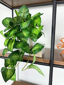 inspiração decoração rack com vasos pequenos