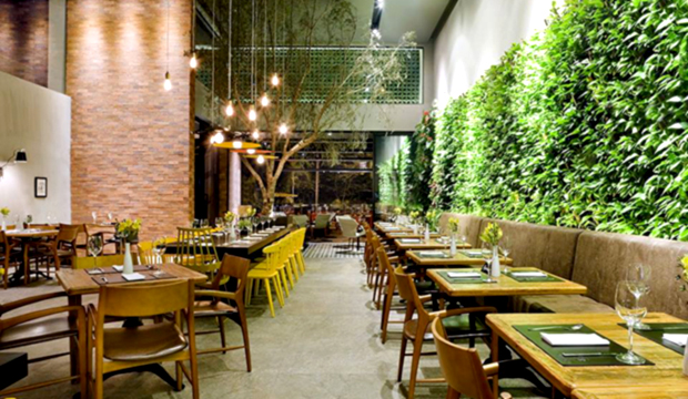 tipos de plantas para restaurante interno